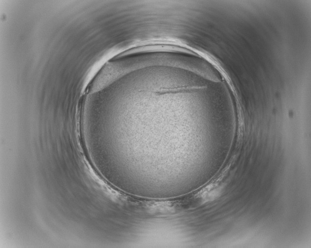 X0000056331006200508261216