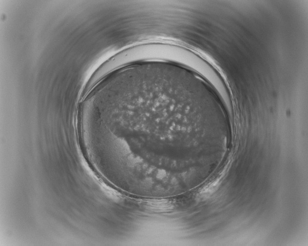 X0000056331007200508261216