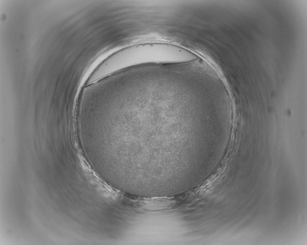 X0000056331008200508261216