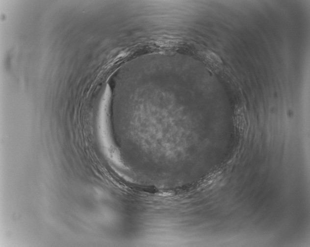 X0000056331009200508261215