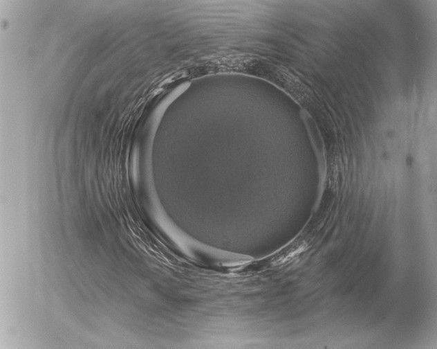 X0000056331010200508261215