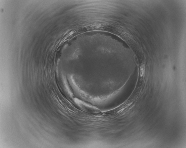 X0000056331011200508261215