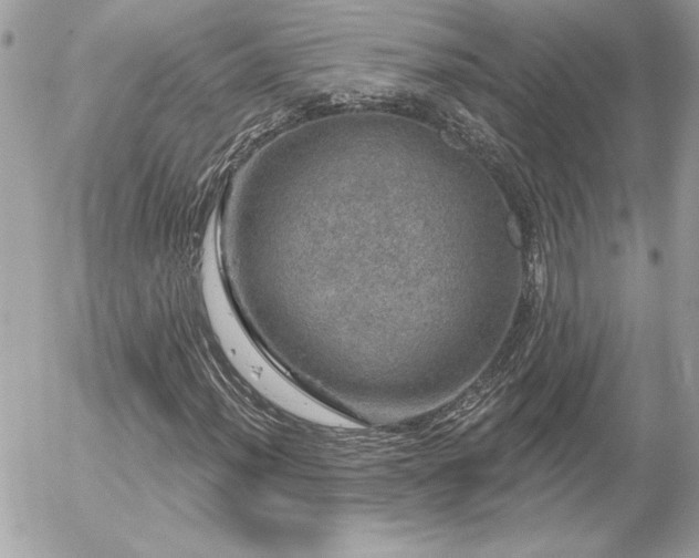 X0000056331012200508261215