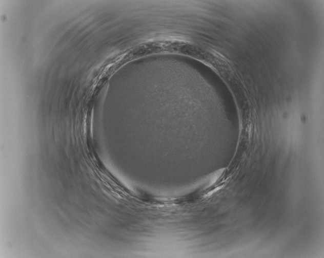 X0000056331014200508261215