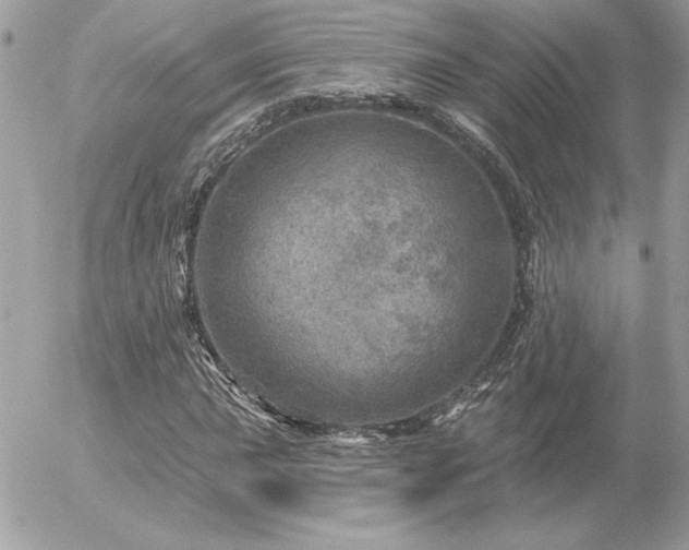 X0000056331015200508261215