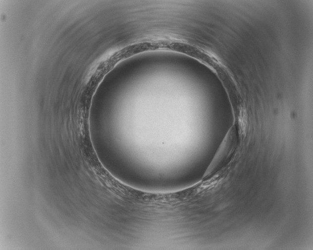 X0000056331016200508261215