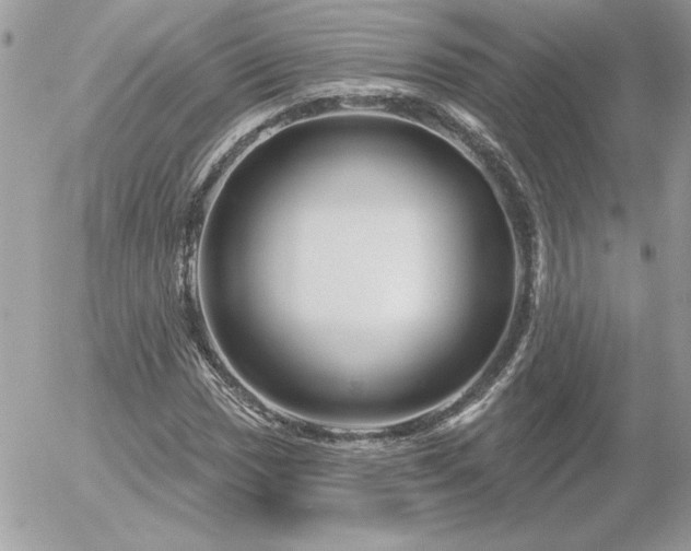 X0000056331017200508261215