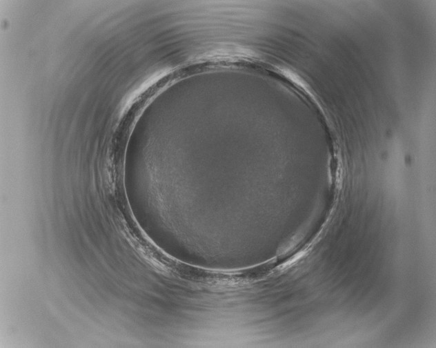 X0000056331018200508261215