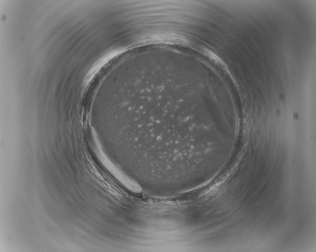 X0000056331019200508261215