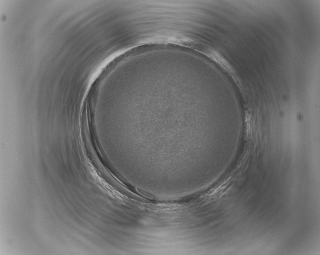 X0000056331020200508261215