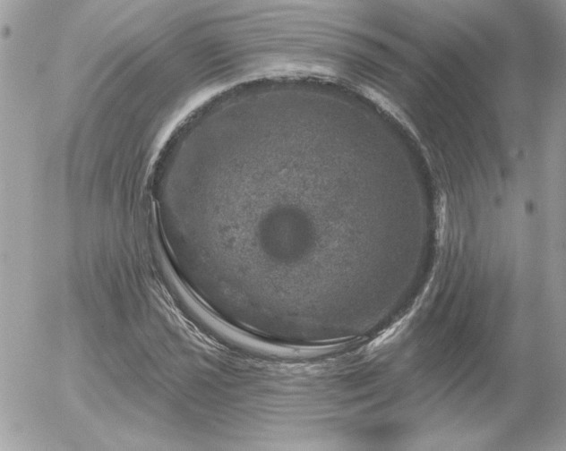 X0000056331021200508261215