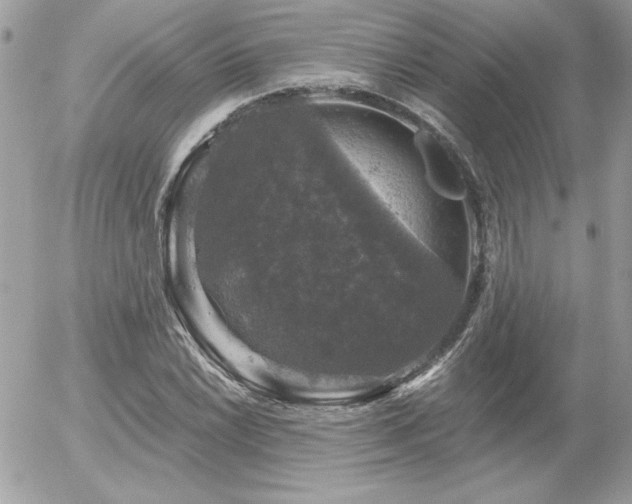 X0000056331022200508261215