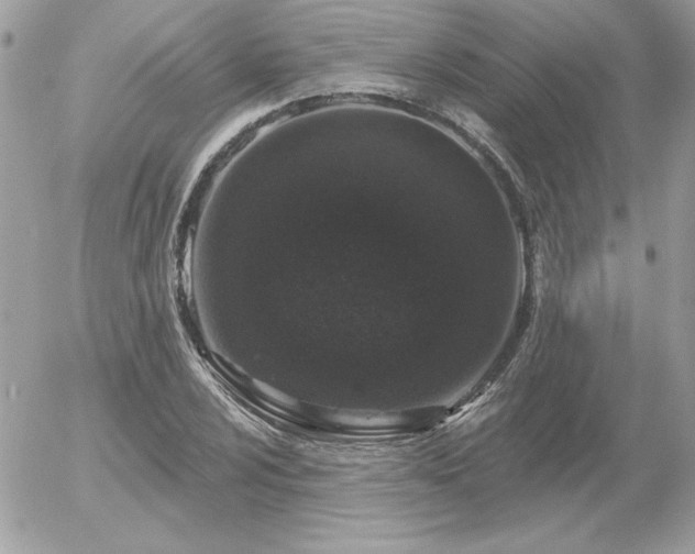 X0000056331024200508261215