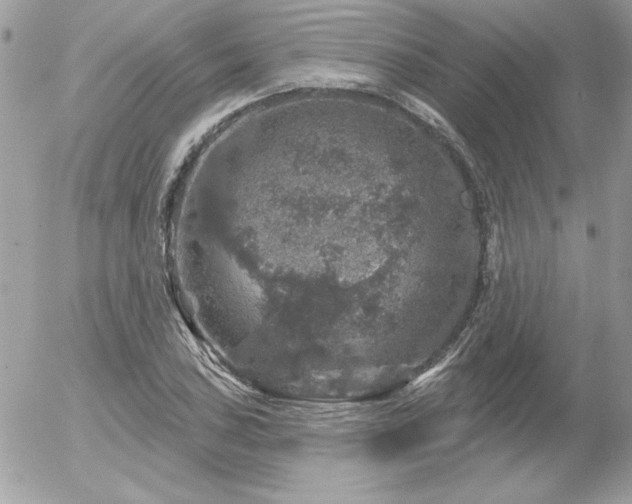 X0000056331027200508261215