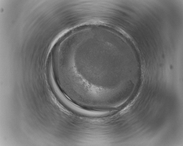 X0000056331029200508261215