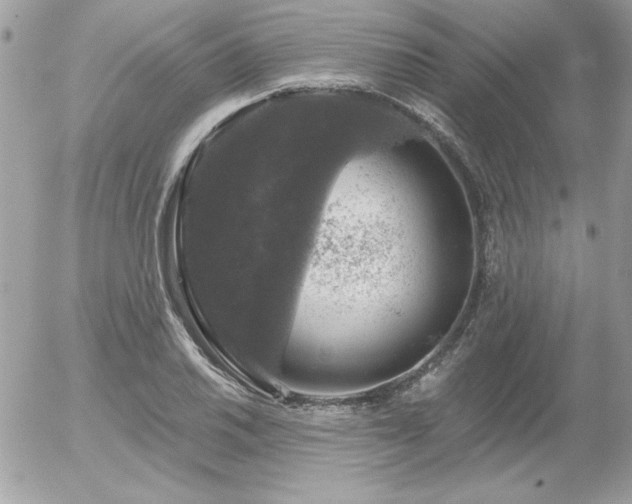 X0000056331030200508261215