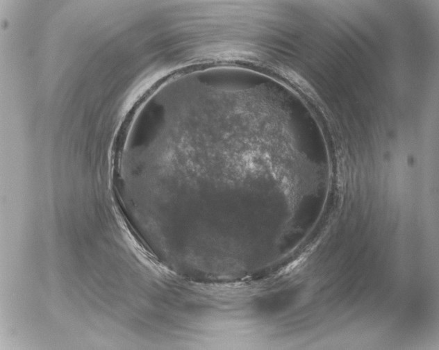 X0000056331031200508261215