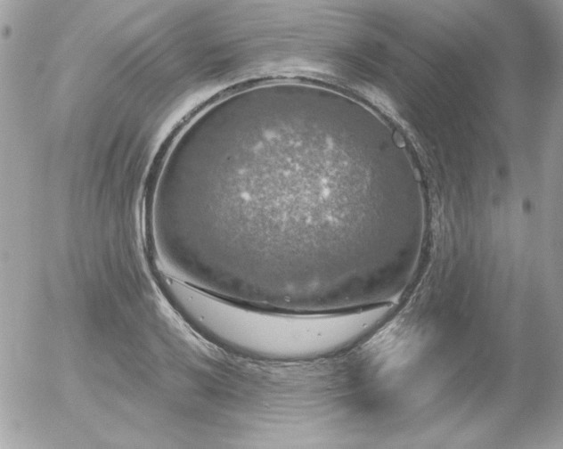 X0000056331032200508261215