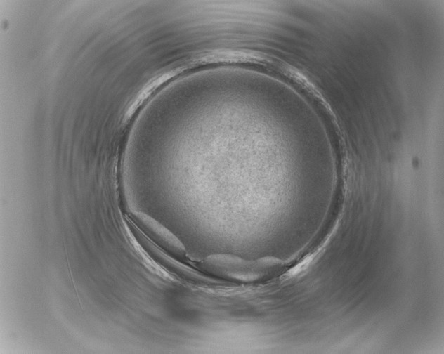 X0000056331033200508261215