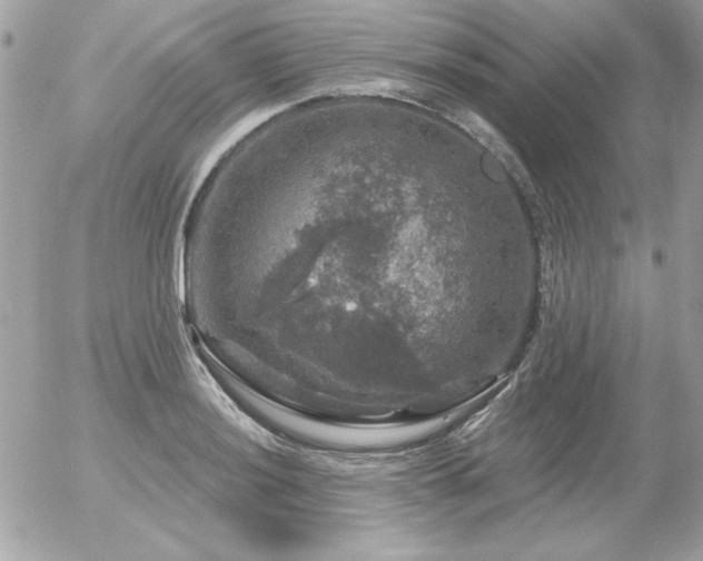 X0000056331036200508261215