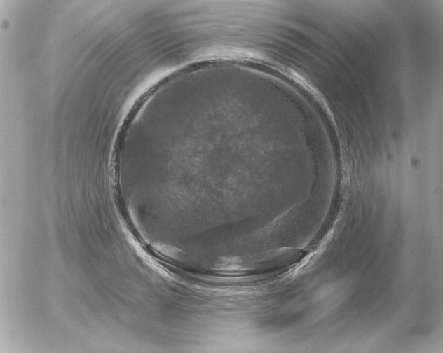 X0000056331037200508261215