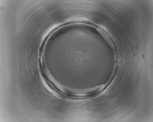 X0000056331038200508261215