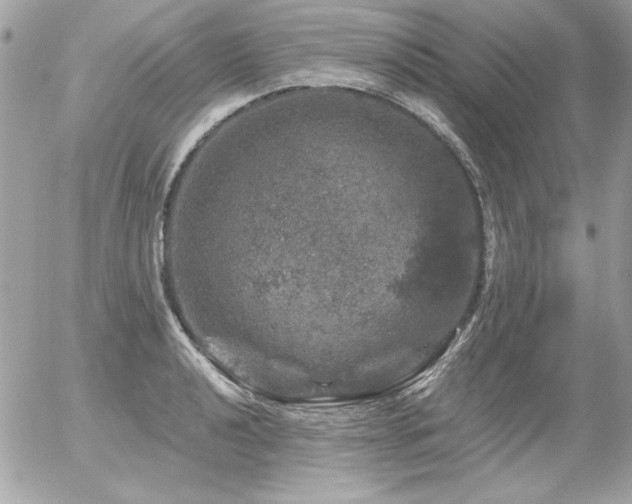 X0000056331040200508261215