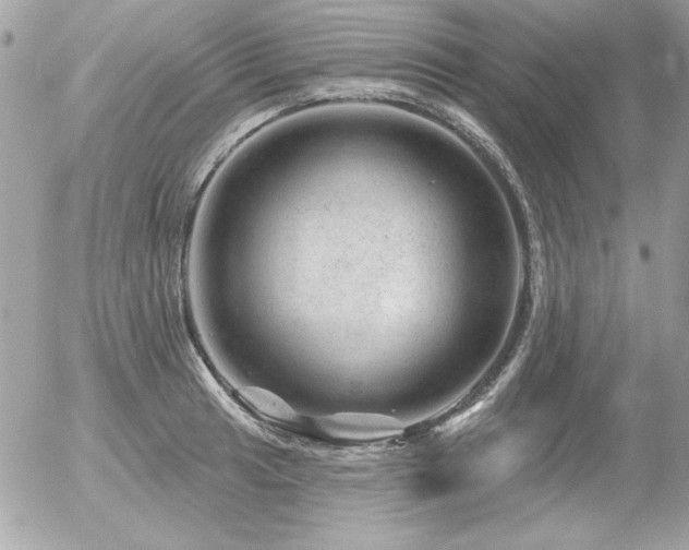 X0000056331041200508261215