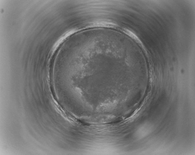 X0000056331043200508261215