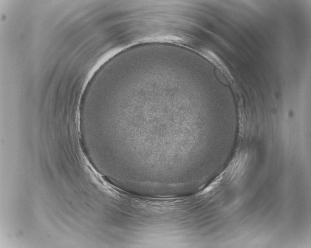 X0000056331044200508261215