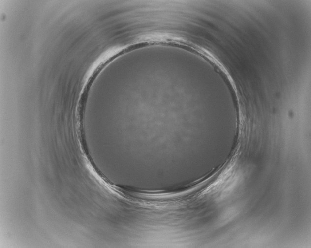 X0000056331045200508261215