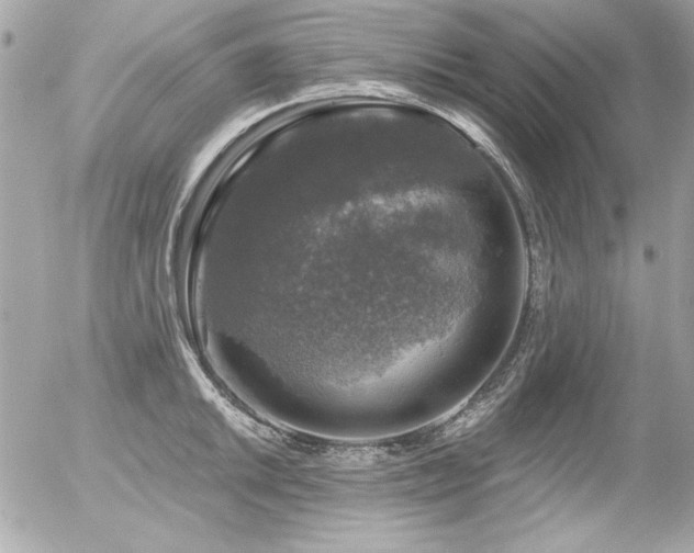 X0000056331046200508261215