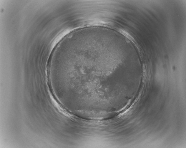 X0000056331047200508261215