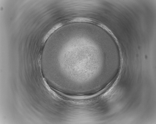 X0000056331049200508261215