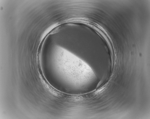 X0000056331050200508261215