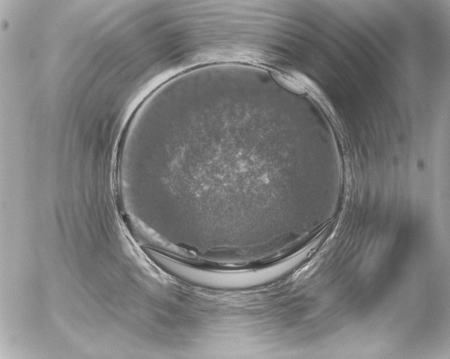 X0000056331052200508261215