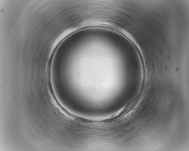 X0000056331053200508261216