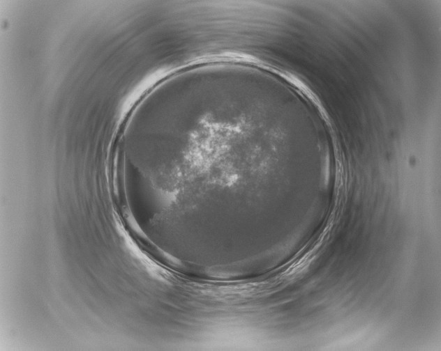 X0000056331054200508261216