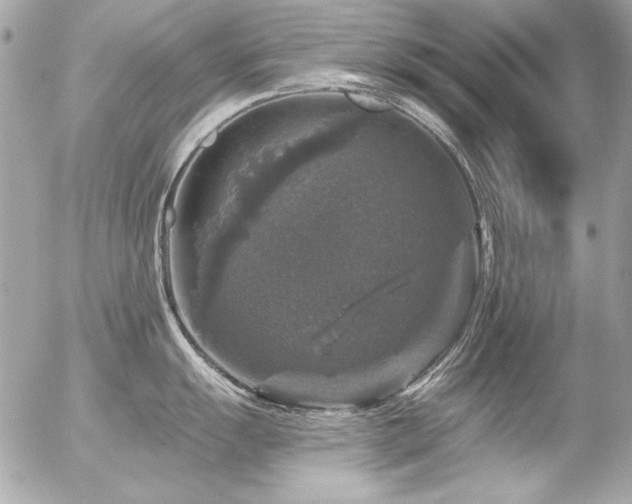 X0000056331055200508261216