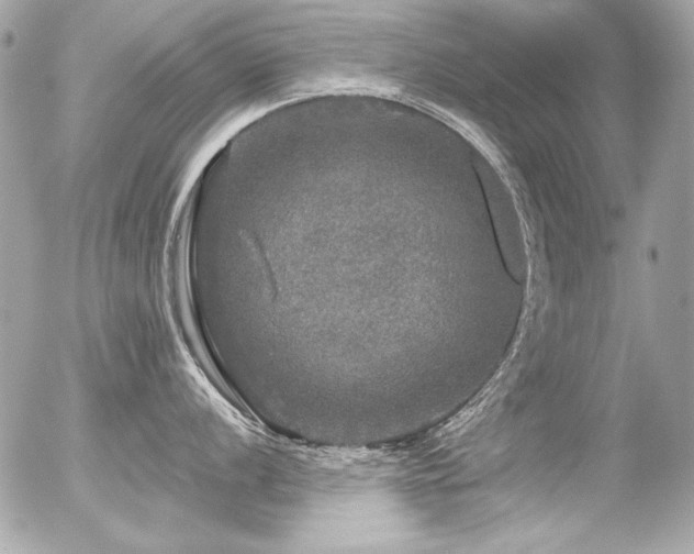 X0000056331056200508261216