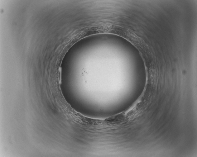 X0000056331057200508261215