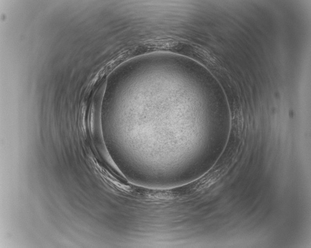 X0000056331058200508261215