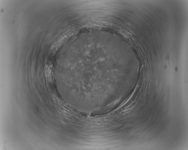 X0000056331059200508261215