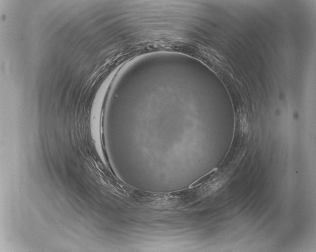 X0000056331060200508261215