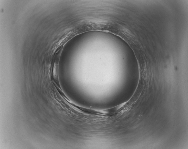 X0000056331061200508261215