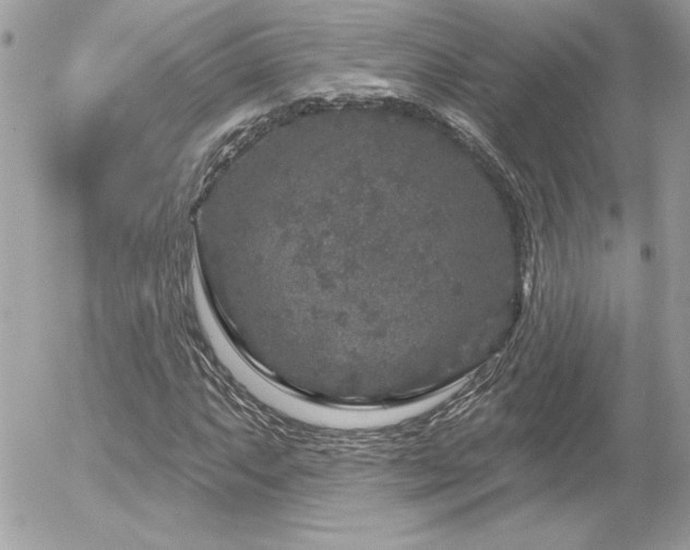 X0000056331063200508261215