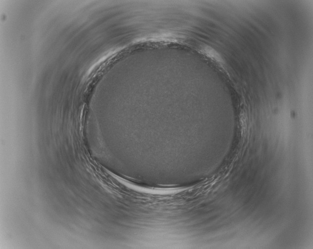 X0000056331064200508261215