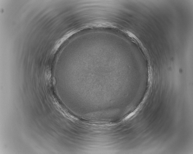 X0000056331065200508261215