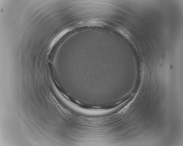 X0000056331066200508261215