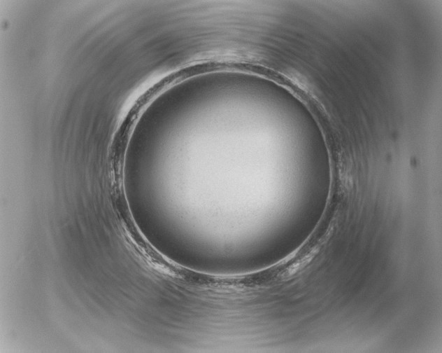X0000056331070200508261214